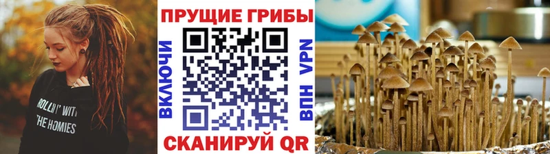 Галлюциногенные грибы ЛСД Сегежа