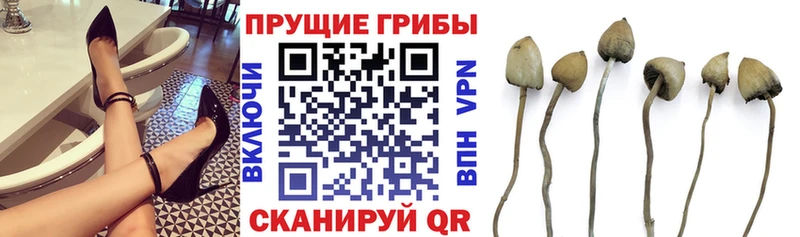 blacksprut ССЫЛКА  наркотики  Сегежа  Галлюциногенные грибы MAGIC MUSHROOMS 