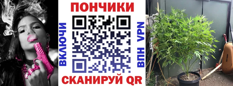 МАРИХУАНА сатива  Сегежа 